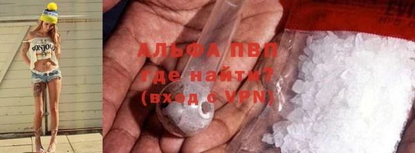 спайс Арсеньев