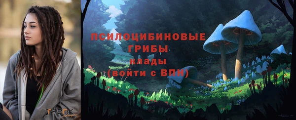 спайс Арсеньев